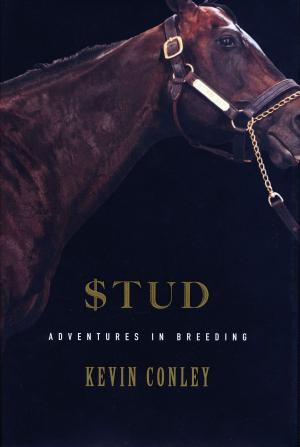 Cover of the book Stud by Martin Armstrong