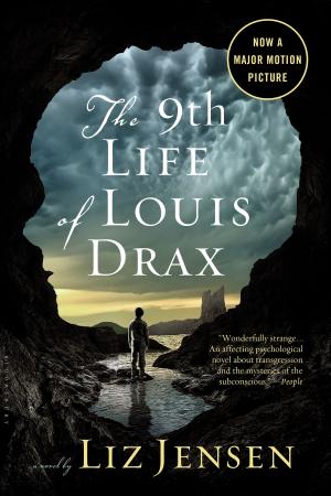 bigCover of the book The Ninth Life of Louis Drax by 