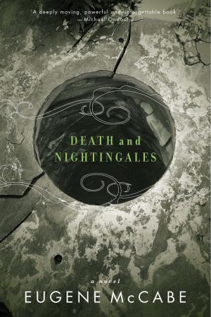 Cover of the book Death and Nightingales by Lawrence Seinoff