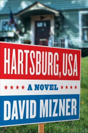 Cover of the book Hartsburg, USA by Ashley Poston