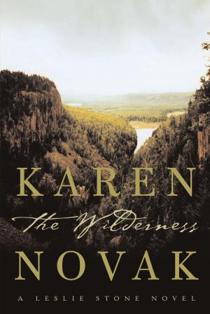 Cover of the book The Wilderness by Ellen Parnavelas