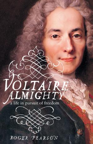 Cover of the book Voltaire Almighty by David Mercer