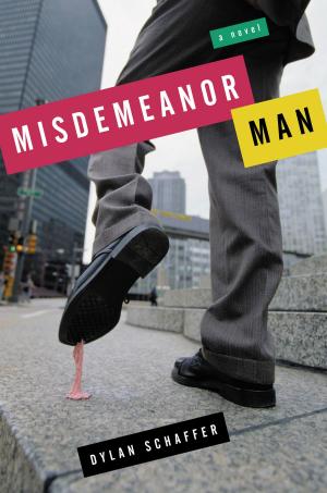 Cover of the book Misdemeanor Man by Bouko de Groot