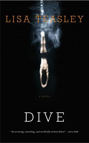 Cover of the book Dive by Ilya Parkins