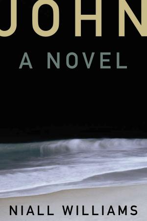 Cover of the book John by Nicholas Ostler