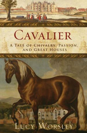 Cover of the book Cavalier by Mark Golley