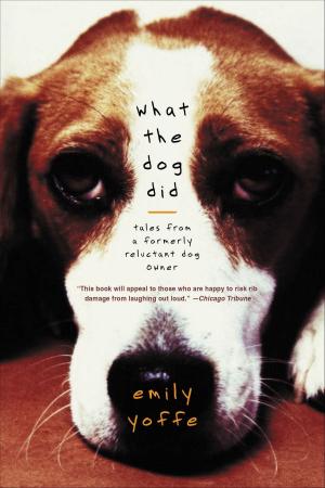 Cover of the book What the Dog Did by Dr Stephen Bull