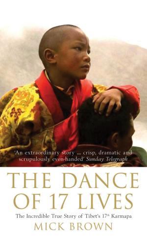 Cover of the book The Dance of 17 Lives by Mr Anders Lustgarten
