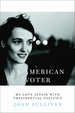 Book cover of An American Voter