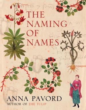 Cover of the book The Naming of Names by Tom Salinsky, Deborah Frances-White