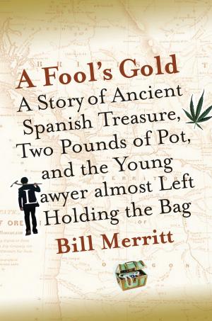 Cover of the book A Fool's Gold by Adam Feinstein