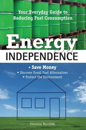 Cover of the book Energy Independence by James A. Swan, PhD, Lt. John Nores Jr.