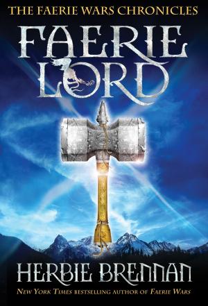 Cover of the book Faerie Lord by S.K. Levy