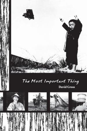 Cover of the book The Most Important Thing by Robin Benoit, Jillian Benoit