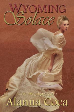 Book cover of Wyoming Solace