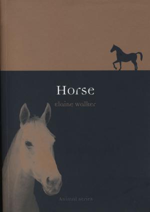 Cover of the book Horse by Fabio Parasecoli