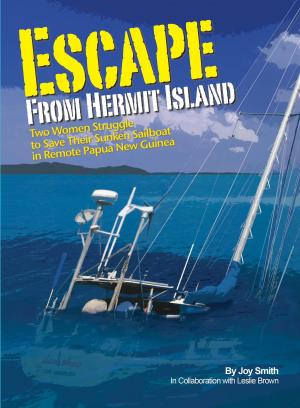 Cover of the book Escape From Hermit Island by David  William Kirby