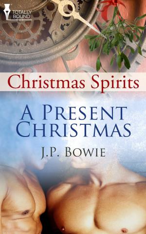 Cover of the book A Present Christmas by BA Tortuga