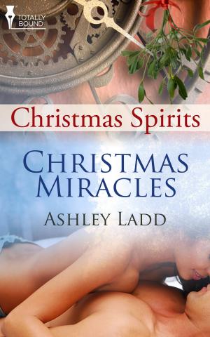 Cover of the book Christmas Miracles by *lizzie starr