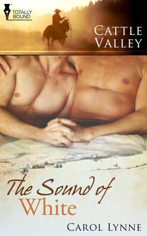 Cover of the book The Sound of White by L.M.  Somerton