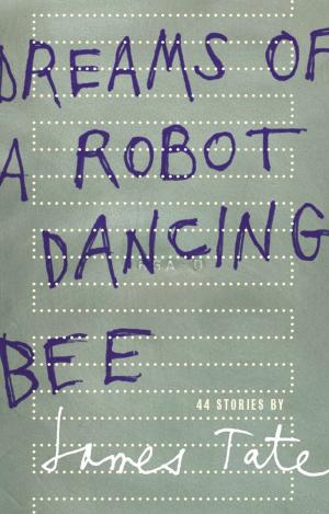 Cover of Dreams of a Robot Dancing Bee