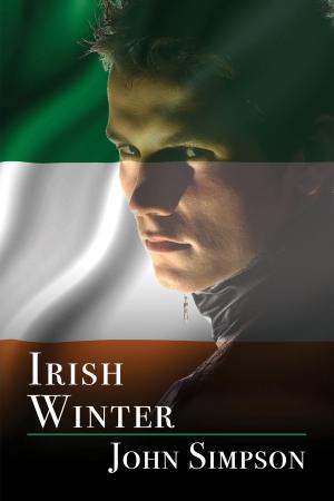 Cover of the book Irish Winter by Skye Allen