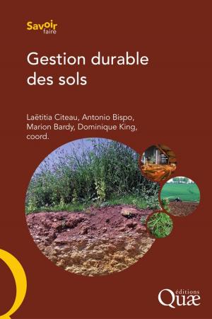 Cover of the book Gestion durable des sols by Sylvie Huet, Emmanuel Jolivet, Antoine Messéan
