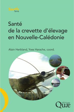 Cover of the book Santé de la crevette d'élevage en Nouvelle-Calédonie by Denis Michaud, Jean Ritter, Benoit Deffontaines, Jean-Pierre Deffontaines