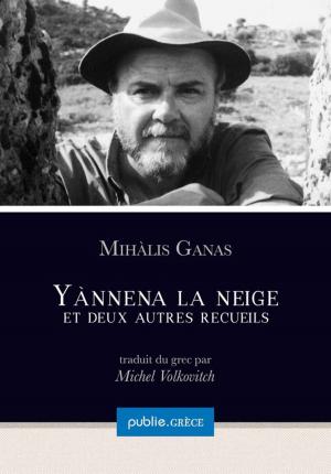 Cover of the book Yànnena la neige by Thomas Vinau, Florent Lamouroux