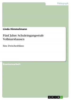 Cover of the book Fünf Jahre Schuleingangsstufe Vollmarshausen by Uwe Schwender