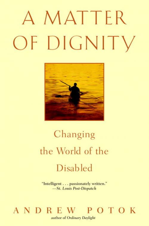 Cover of the book A Matter of Dignity by Andrew Potok, Random House Publishing Group