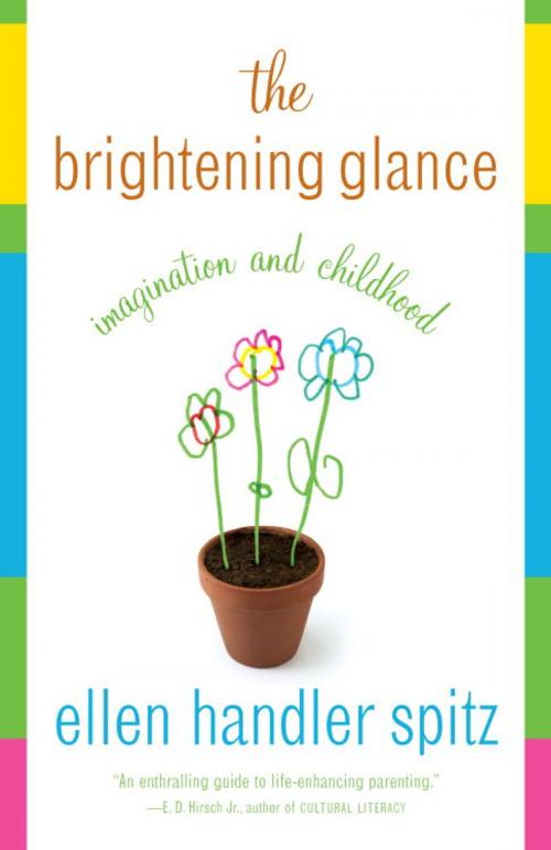 Cover of the book The Brightening Glance by Ellen Handler Spitz, Knopf Doubleday Publishing Group