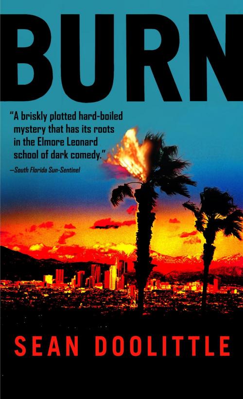 Cover of the book Burn by Sean Doolittle, Random House Publishing Group