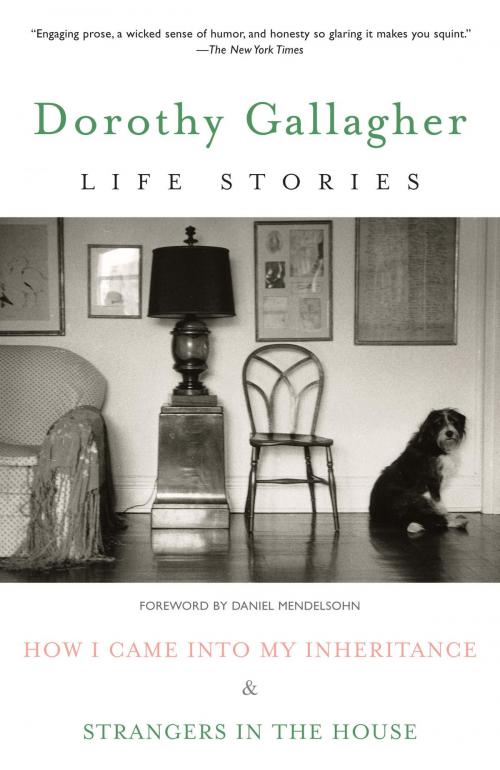 Cover of the book Life Stories by Dorothy Gallagher, Random House Publishing Group