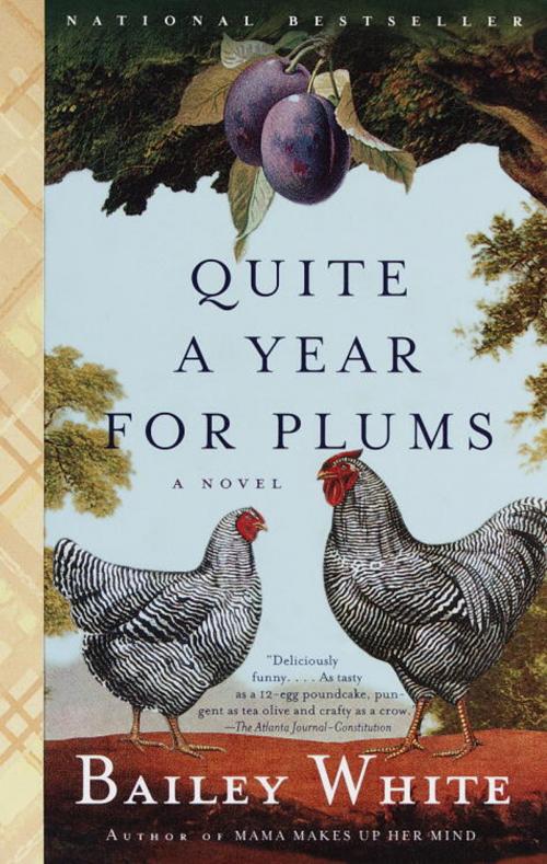 Cover of the book Quite a Year for Plums by Bailey White, Knopf Doubleday Publishing Group