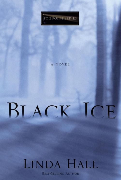 Cover of the book Black Ice by Linda Hall, The Crown Publishing Group