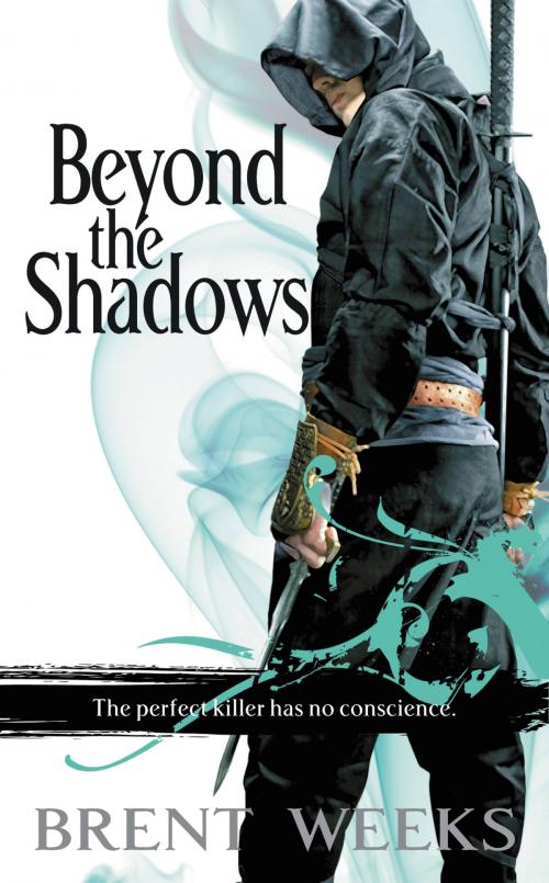 Cover of the book Beyond the Shadows by Brent Weeks, Orbit