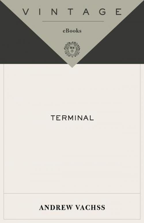 Cover of the book Terminal by Andrew Vachss, Knopf Doubleday Publishing Group