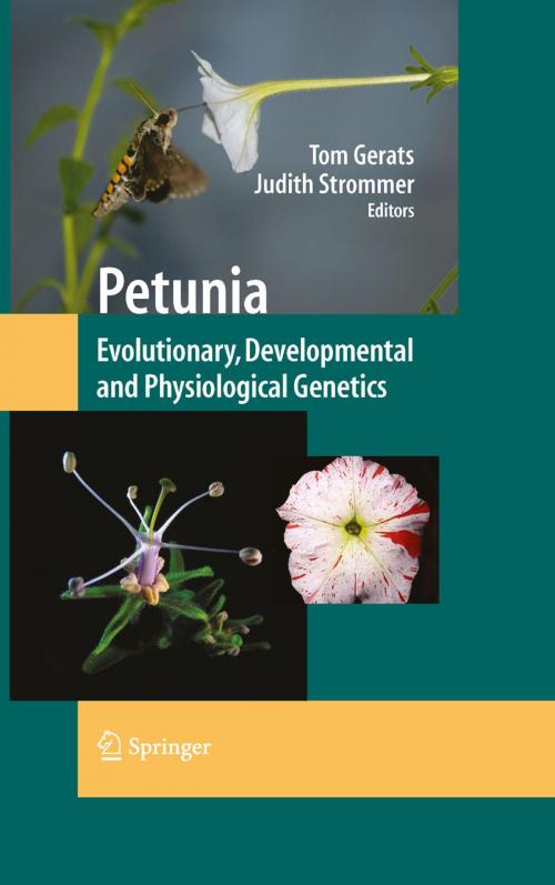 Cover of the book Petunia by , Springer New York