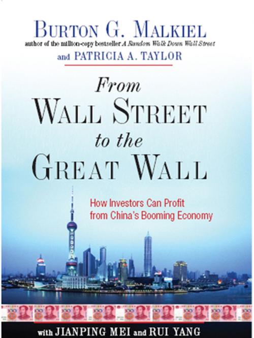Cover of the book From Wall Street to the Great Wall: How Investors Can Profit from China's Booming Economy by Burton G. Malkiel, Patricia A. Taylor, W. W. Norton & Company