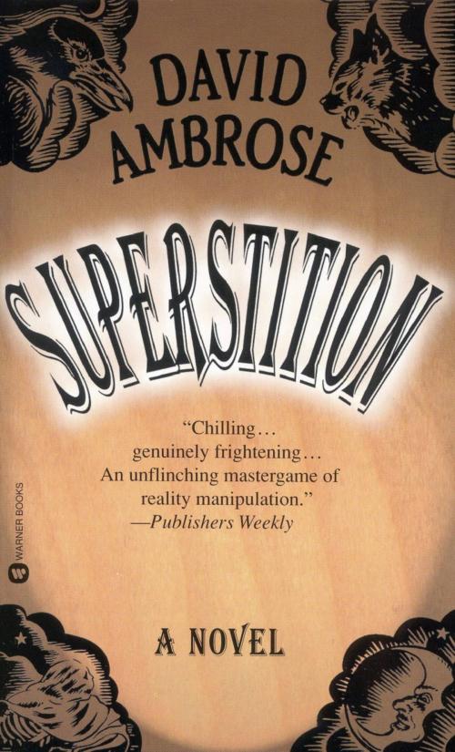 Cover of the book Superstition by David Ambrose, Grand Central Publishing