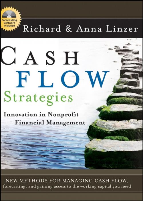 Cover of the book Cash Flow Strategies by Richard S. Linzer, Anna O. Linzer, Wiley