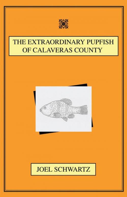 Cover of the book The Extraordinary Pupfish of Calaveras County by Joel Schwartz, iUniverse