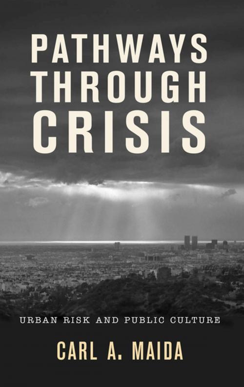 Cover of the book Pathways through Crisis by Carl A. Maida, AltaMira Press