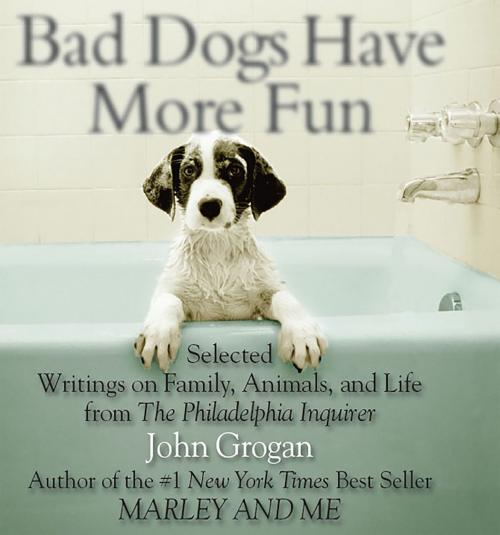 Cover of the book Bad Dogs Have More Fun by John Grogan, Running Press
