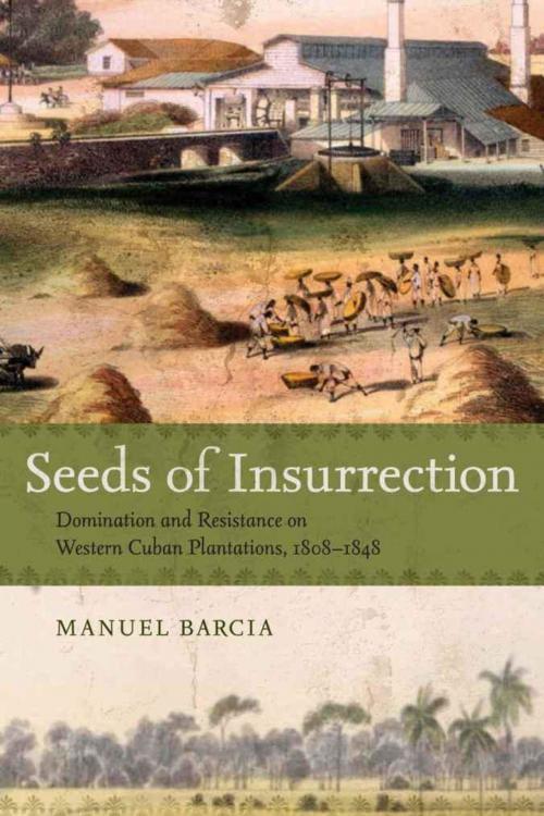 Cover of the book Seeds of Insurrection by Manuel Barcia, LSU Press