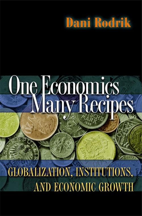 Cover of the book One Economics, Many Recipes by Dani Rodrik, Princeton University Press