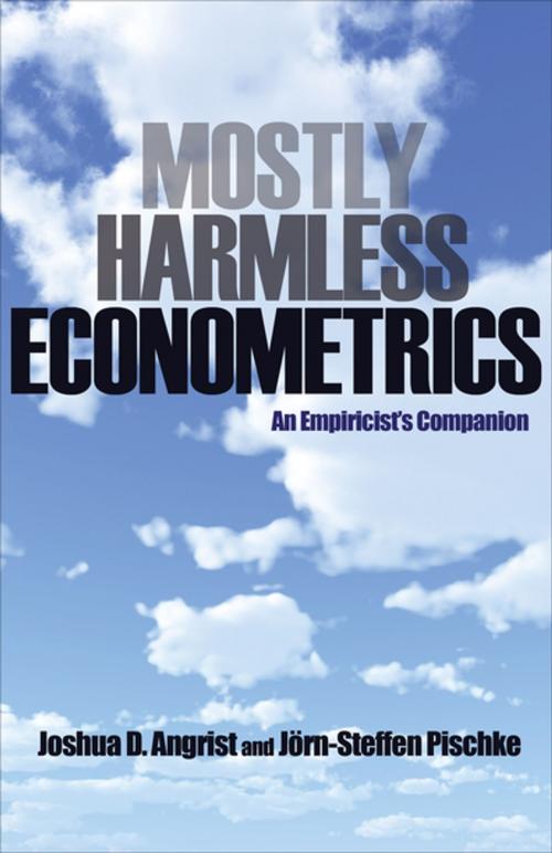 Cover of the book Mostly Harmless Econometrics by Joshua D. Angrist, Jörn-Steffen Pischke, Princeton University Press