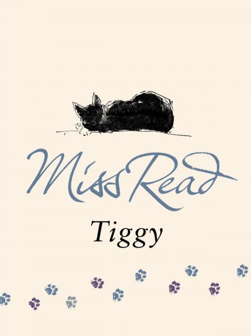 Cover of the book Tiggy by Miss Read, Orion Publishing Group