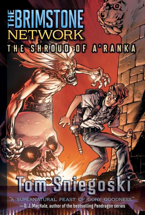 Cover of the book The Shroud of A'Ranka by Thomas E. Sniegoski, Aladdin